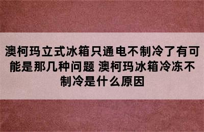 澳柯玛立式冰箱只通电不制冷了有可能是那几种问题 澳柯玛冰箱冷冻不制冷是什么原因